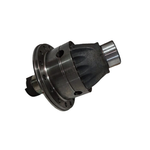 387 350 5923 QUANTUM AUTO PARTS Differential Gear Axle Intro
